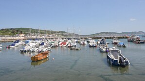 A marina with various boats docked, a clear sky, and a hilly landscape in the background.