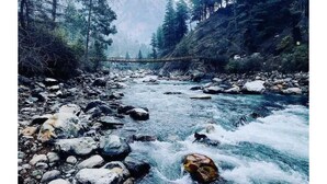 صورة غير مصنفة، 3 من 18، زرّ