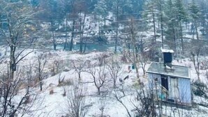 صورة غير مصنفة، 2 من 18، زرّ