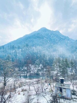 Unclassified image, 4 of 18, button