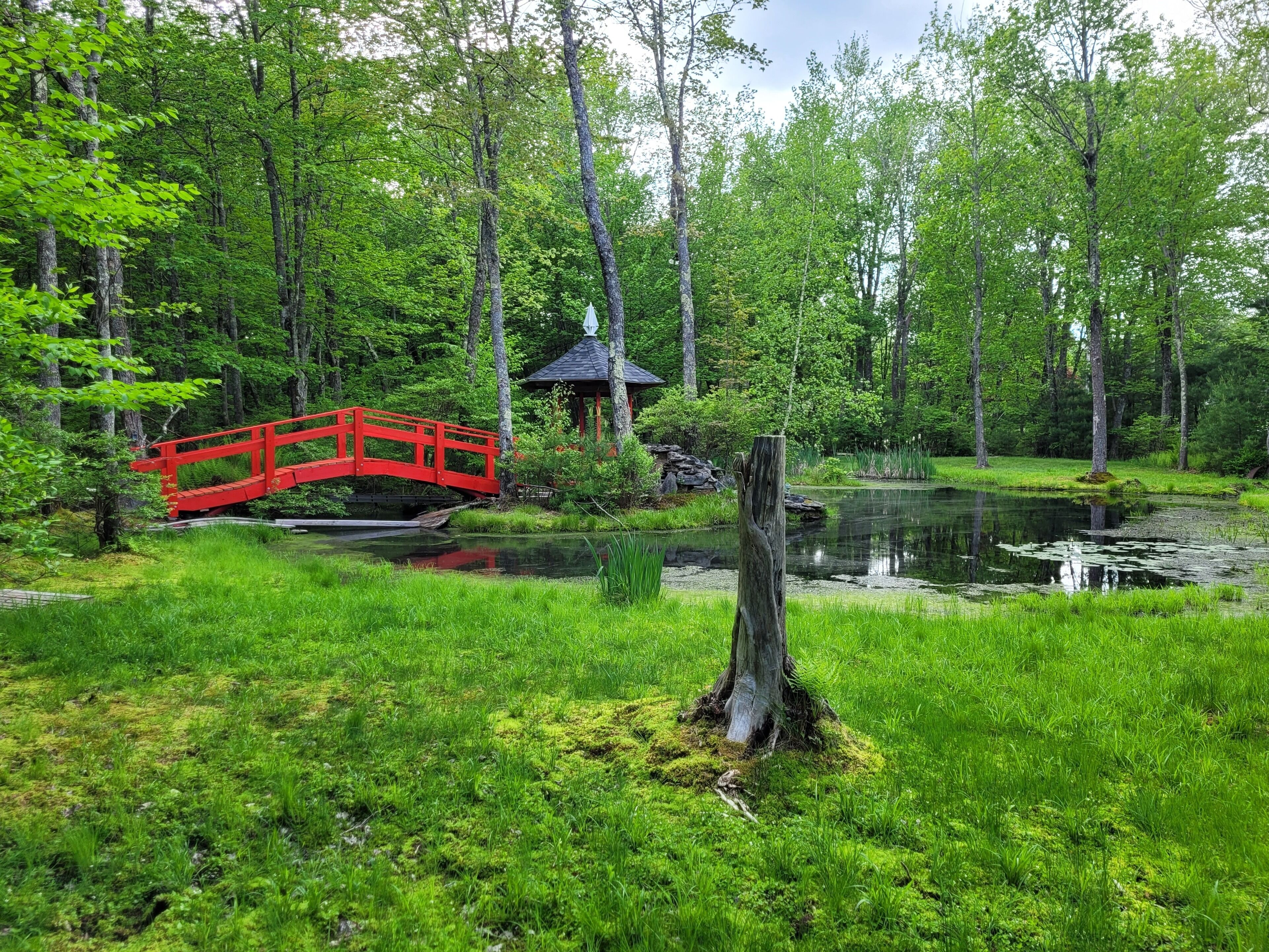 Overnattingsstedets uteområder