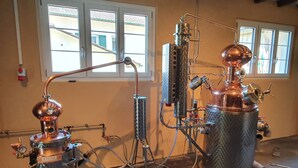 A distillery setup with copper equipment and glassware, connected by metal pipes, in a room with windows and a concrete floor. - Hb-gästehaus (Selzach)
