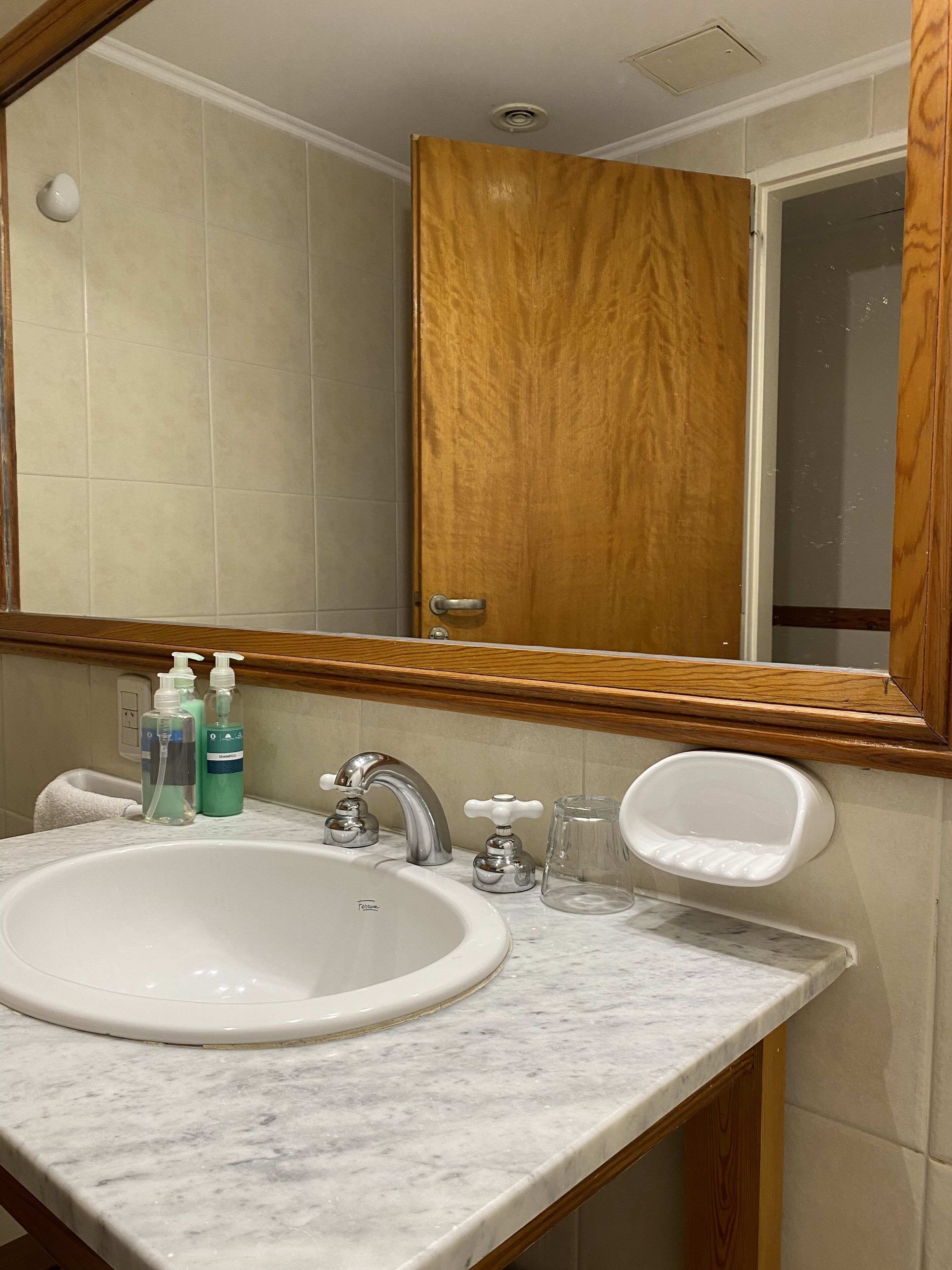 Un baño con un lavamanos blanco, dos botellas de champú, un espejo y una puerta de madera.