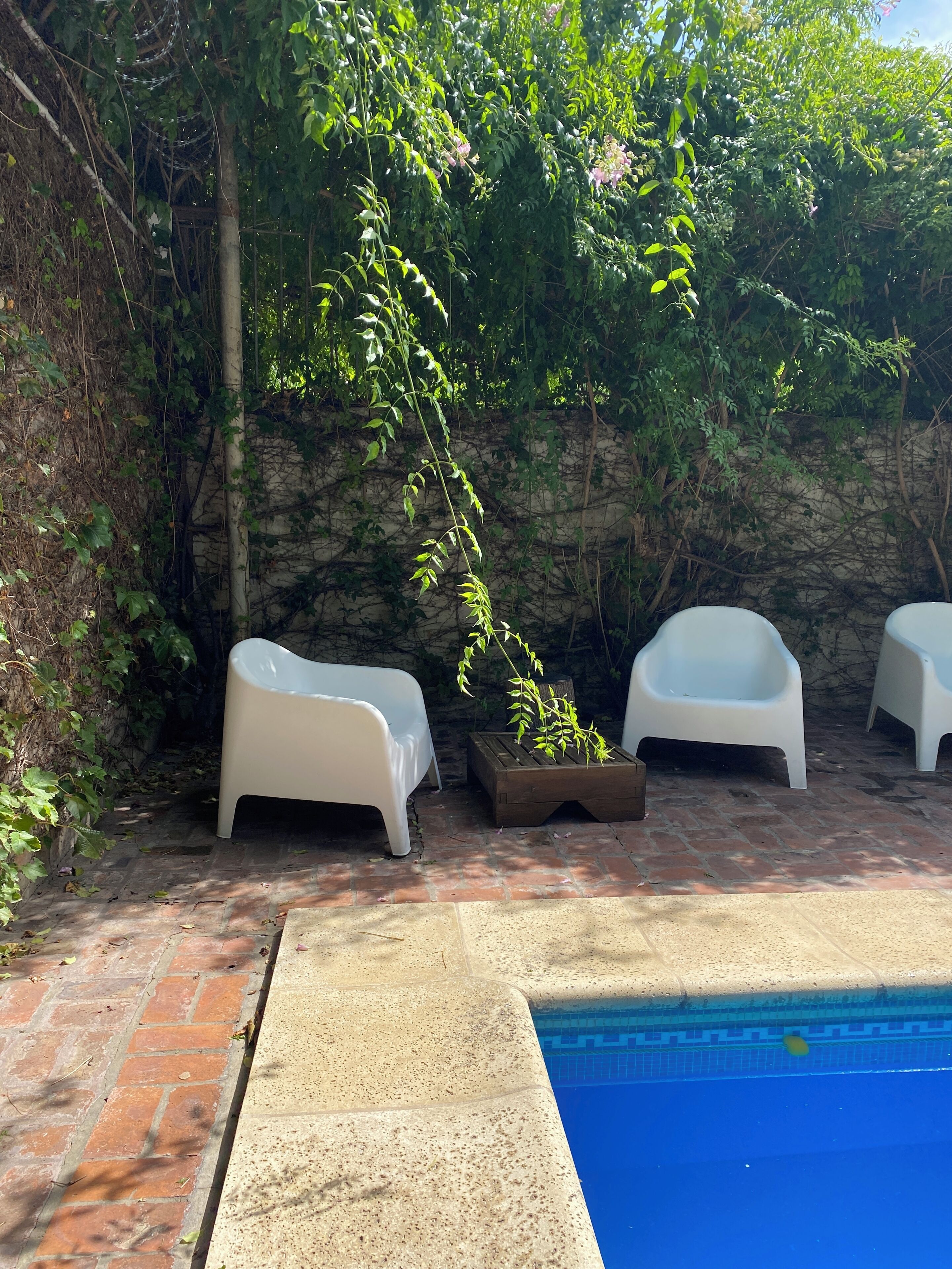 Een zwembadgedeelte met een terras van baksteen, witte loungestoelen en een kleine plantenbak met een plant.