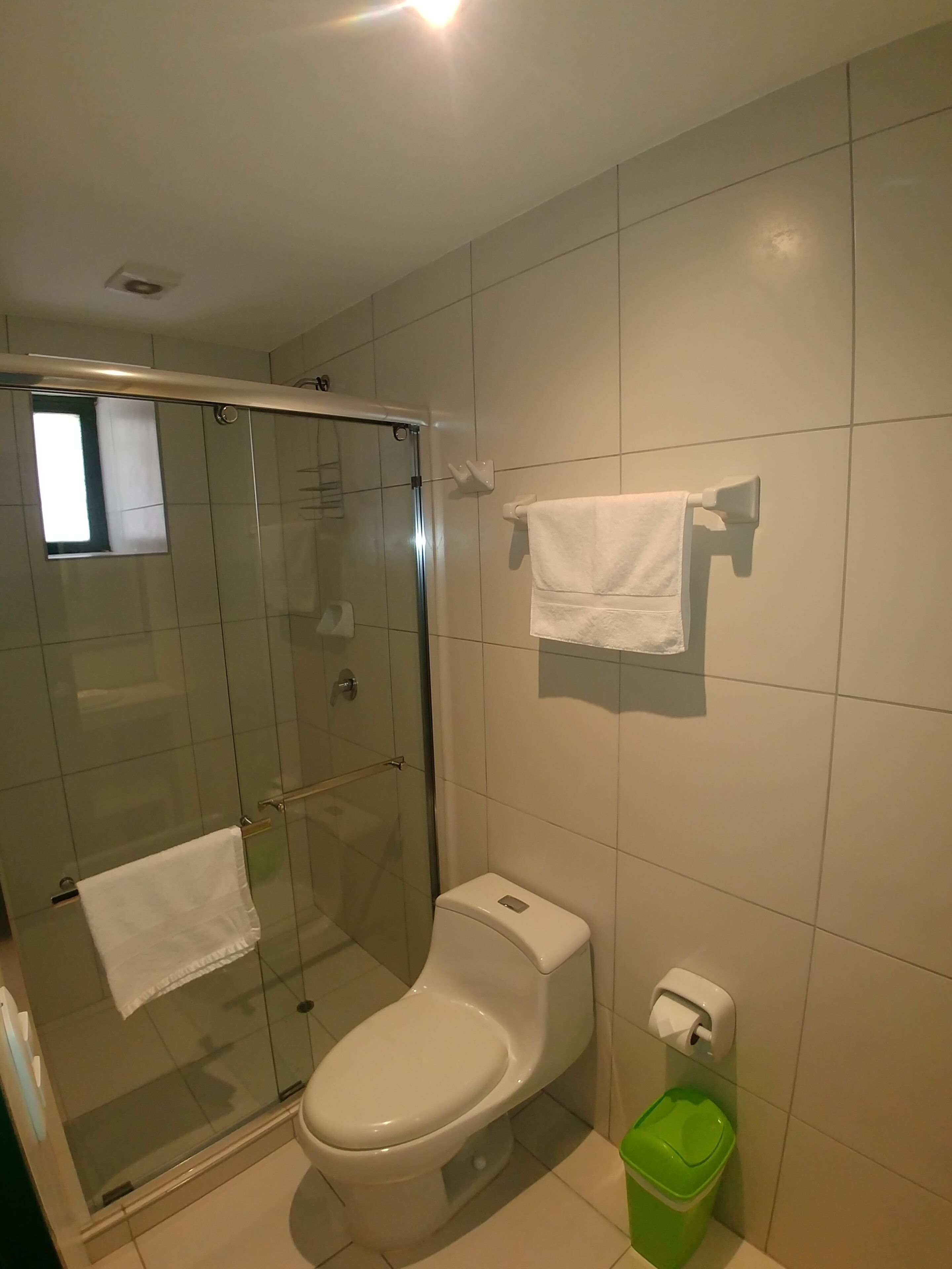 A modern bathroom with a glass-enclosed shower, a toilet, and a green trash bin.