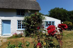 Cottage | Interior - St Gabriels Cottage (Bridport)
