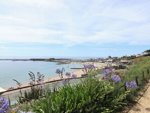 A coastal town with a beach, a marina, and a promenade lined with flowers. - 1 Wellhayes (Lyme Regis)