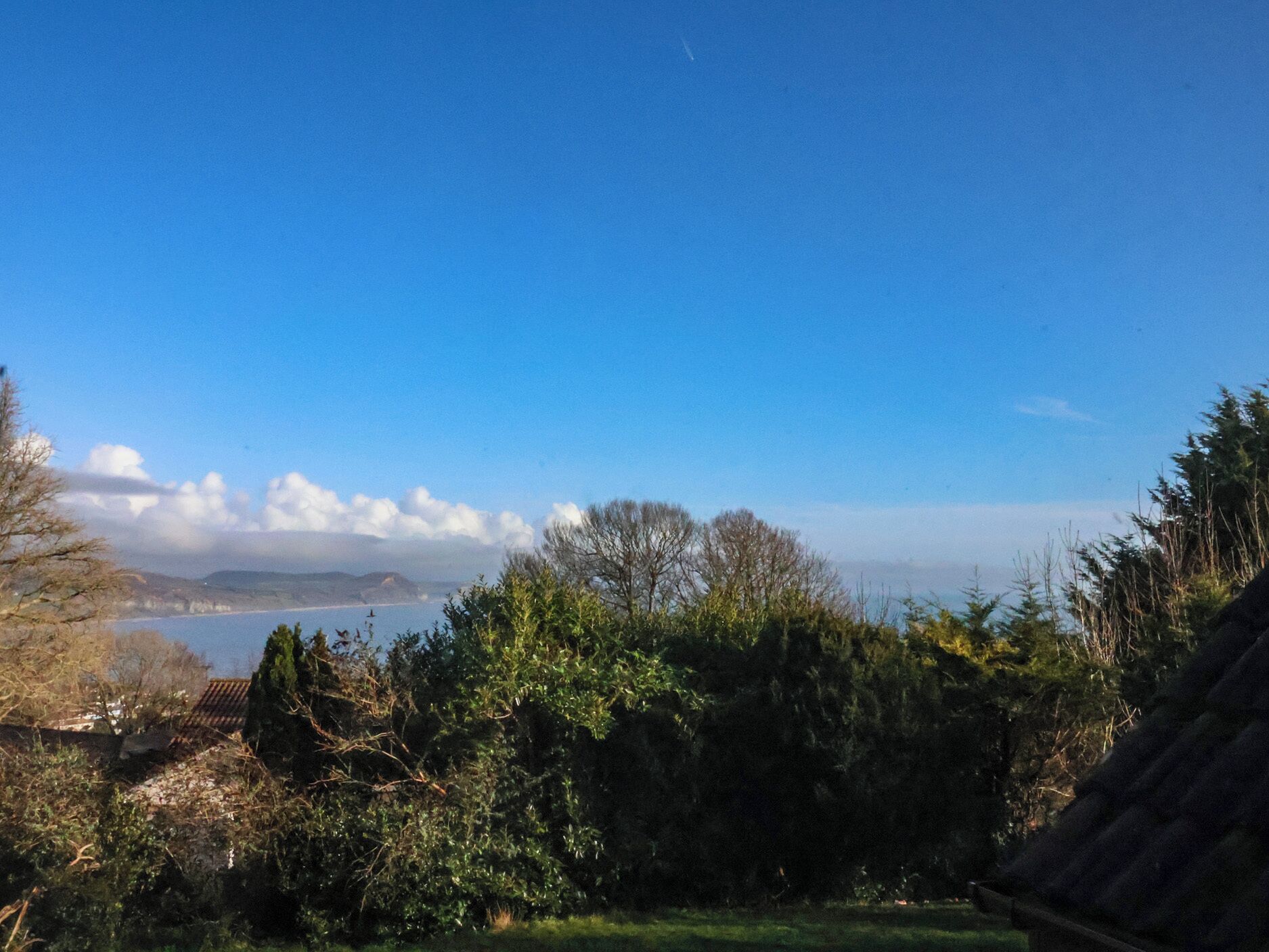 A coastal landscape with a view of the sea, trees, and a distant mountain range.