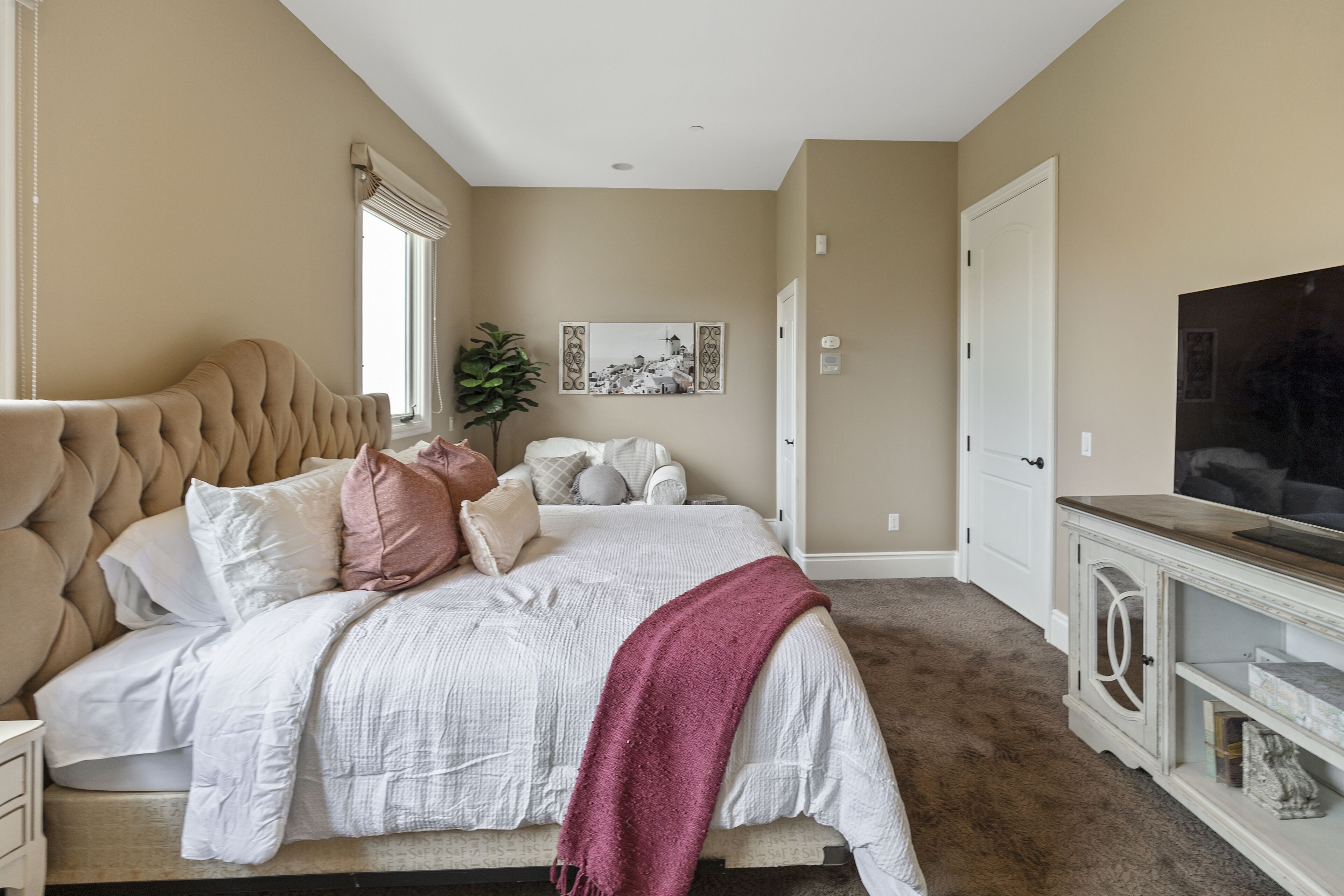 A bedroom with a large bed, a TV, a plant, and a door.