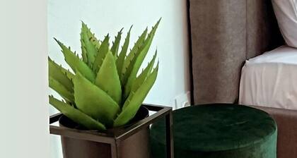 Minimalist Apartment