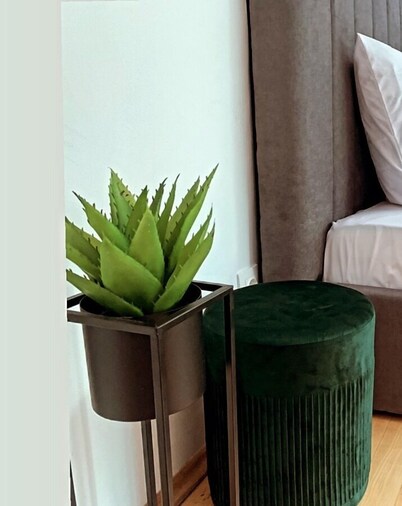 Minimalist Apartment