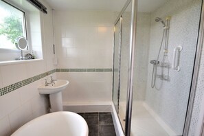 A bathroom with a toilet, sink, and shower. - Rooks Acre (Lyme Regis)