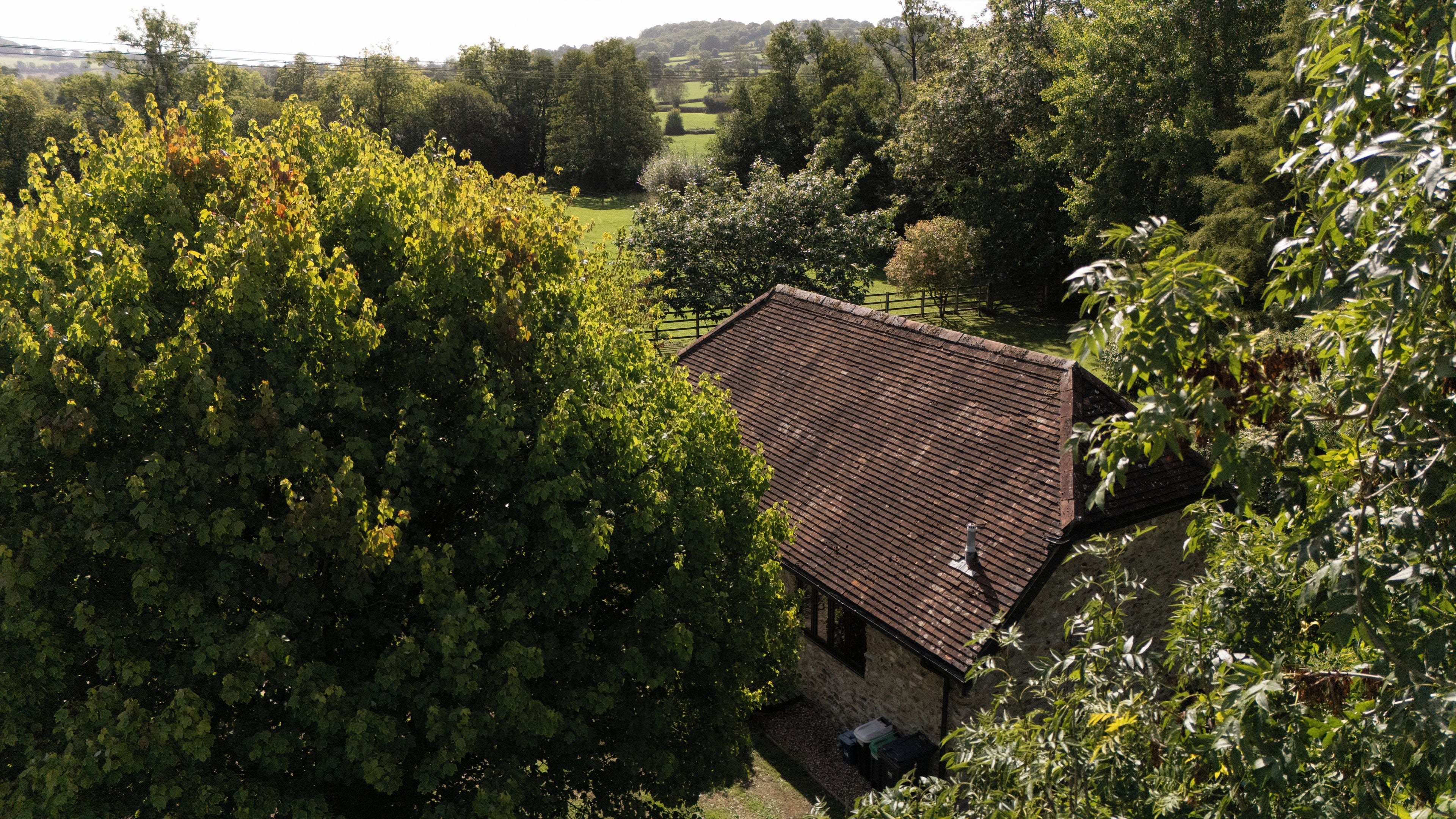 A house with a sloped roof surrounded by dense foliage.