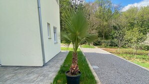 Ein modernes Gebäude mit einem gepflasterten Weg, der zu einem gepflegten Rasen und einem in einem Topf stehenden Palmenbaum führt.