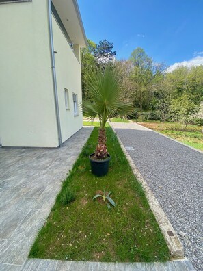 المنطقة المحيطة بالمنشأة