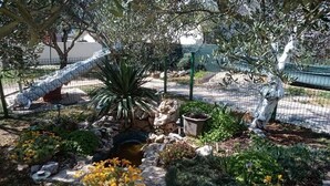 Un jardín con un estanque pequeño, diversas plantas y una estatua.