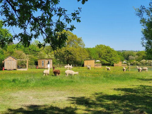 Double Decker Bus on an Alpaca Farm Sleeps 8