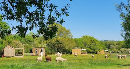 Double Decker Bus on an Alpaca Farm Sleeps 8