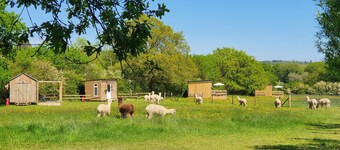 Double Decker Bus on an Alpaca Farm Sleeps 8