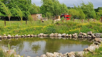 Family Cabin, Private Bathroom (Double Decker Bus) | Garden