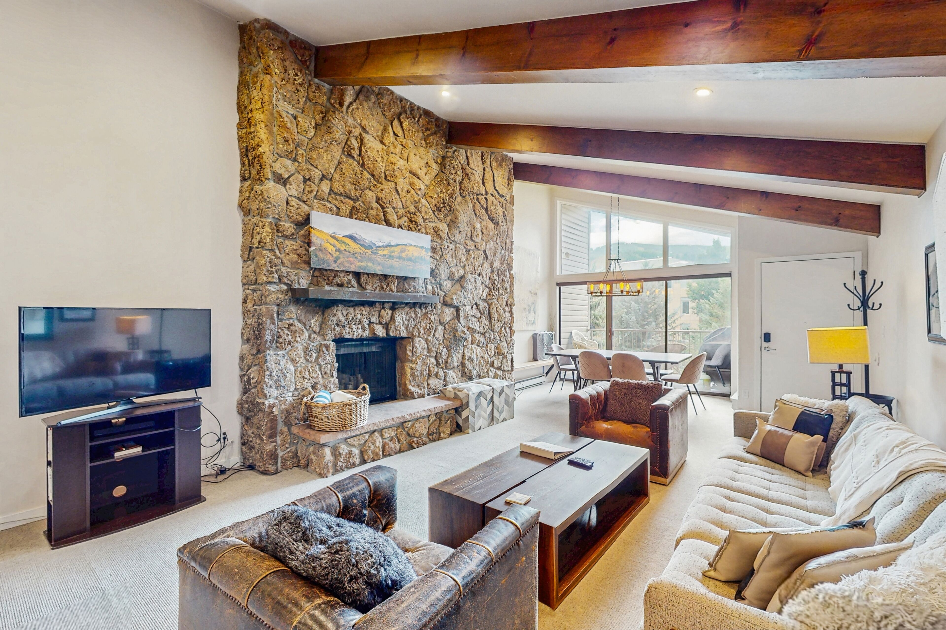 TV, DVD player, books, video library