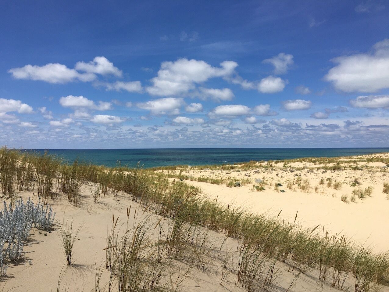 Plage à proximité, chaises longues