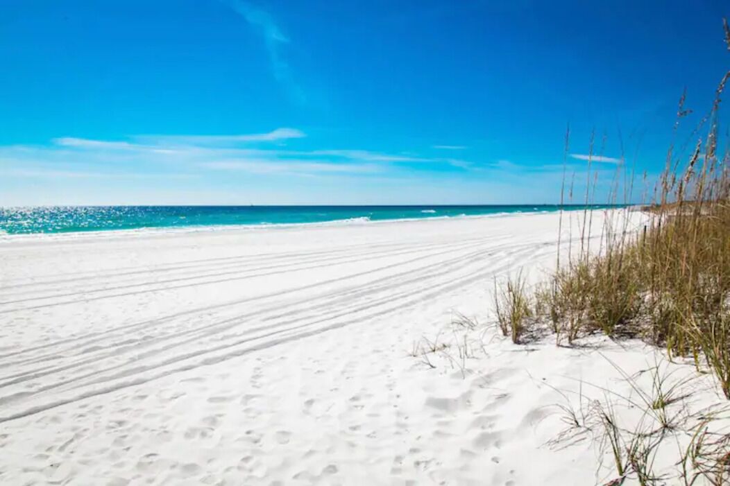 بالقرب من الشاطئ