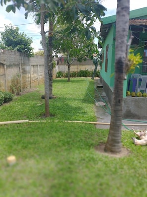 A grassy area with a concrete wall and a green building with windows. - Casa Atafona Família Ferreira Roberto (Sao Joao Da Barra)