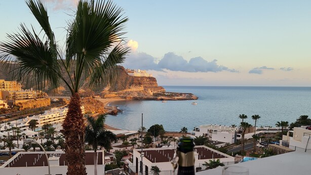 A bottle of wine and a glass on a terrace overlooking a coastal town with buildings and a palm tree. - Sunny apartment with sea view (Mogán)