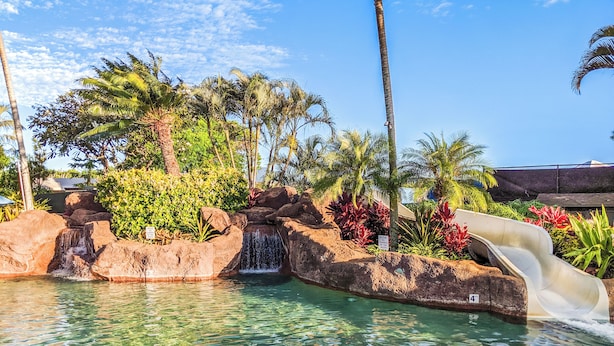 Une piscine aux eaux cristallines, agrémentée d’une cascade et d’un toboggan, entourée de plantes tropicales et de palmiers.