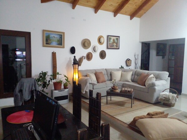 Smart TV, fireplace, books, computer monitors