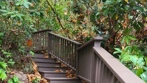 A wooden staircase with a metal railing, surrounded by foliage and fallen leaves.