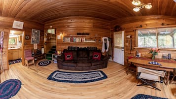 TV, fireplace, books