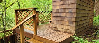 Welch Cabin <A License to Chill>         
       ~we LOVE dogs~