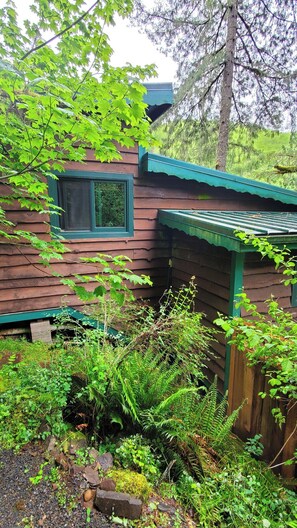 Property grounds - Welch Cabin <A License to Chill>         
       ~we LOVE dogs~ (kalama)