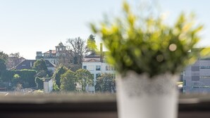 Eine Topfpflanze im Vordergrund, im Hintergrund ist eine Gebäudebauansicht zu sehen.