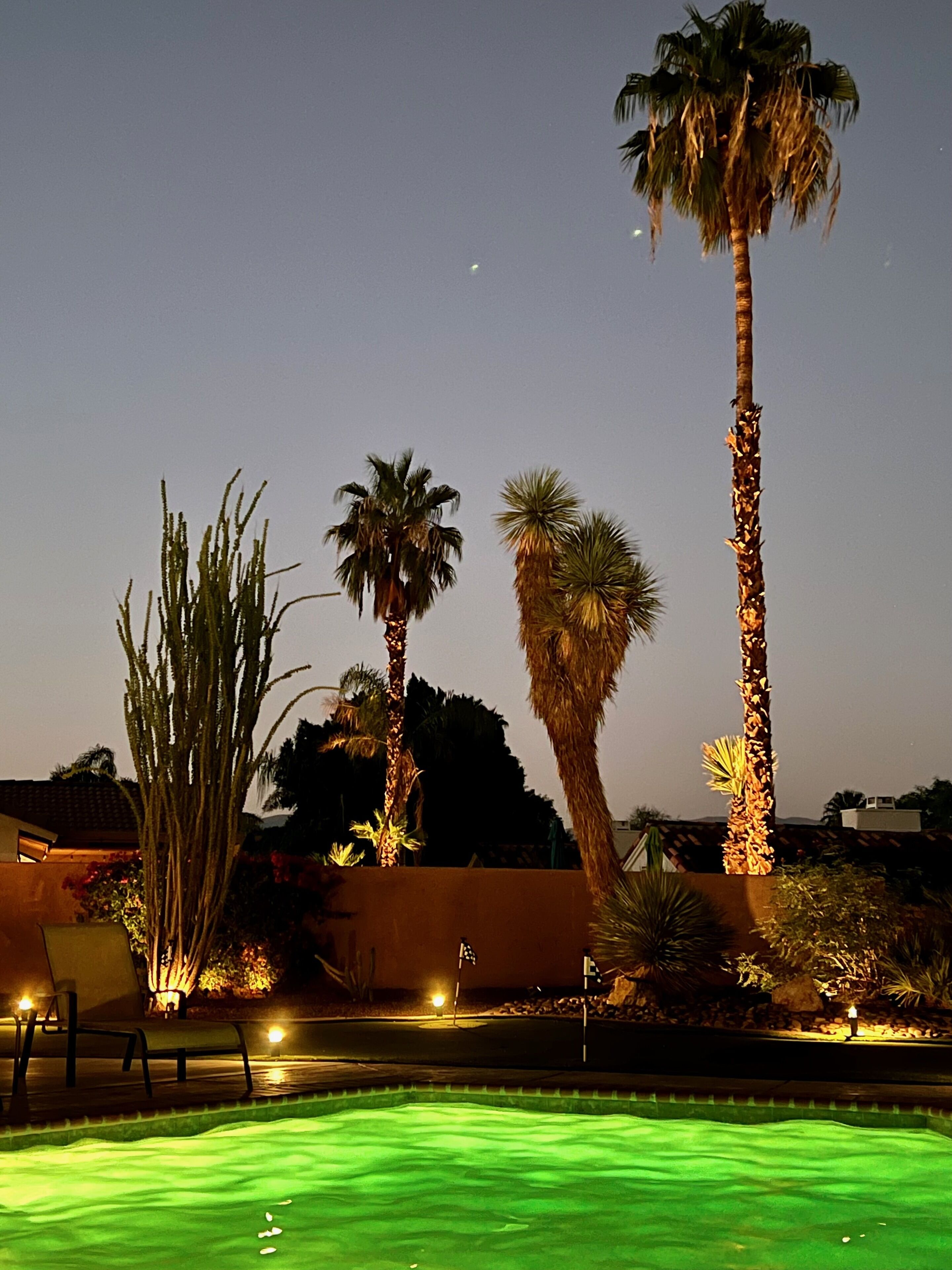 A nighttime pool area with palm trees and a well-lit pool.