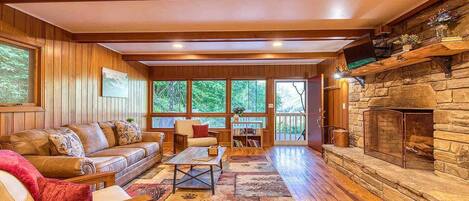 Smart TV, fireplace, DVD player, books