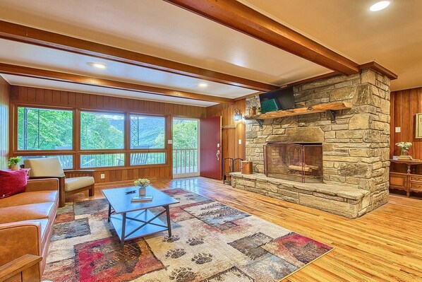 Smart TV, fireplace, DVD player, books