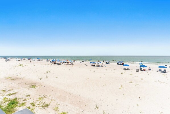 On the beach - FREE PERKS INCLUDED!! Holiday Villas II 117- GULF FRONT Condo! (Indian Shores)