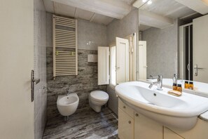 Shower, hair dryer, bidet, towels