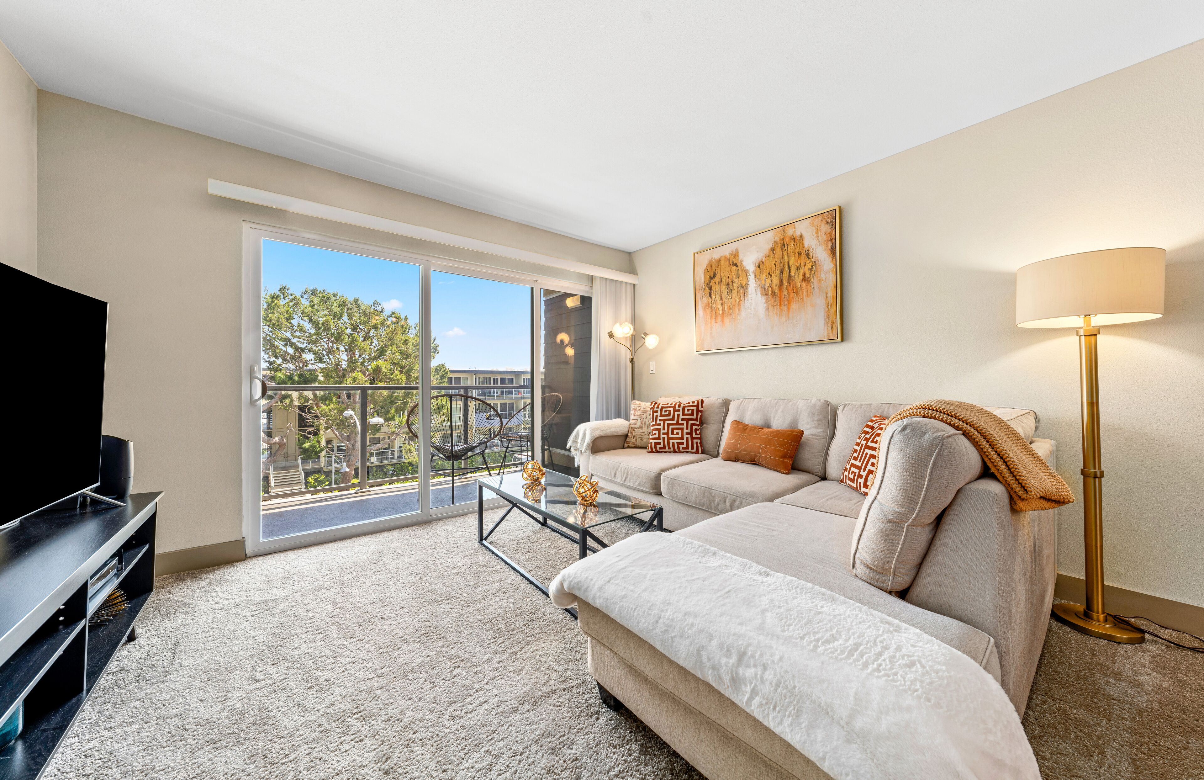 Älytelevisio, kirjoja