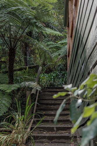 Fern House - bush by beach @ wye river