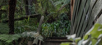 Fern House - bush by beach @ wye river