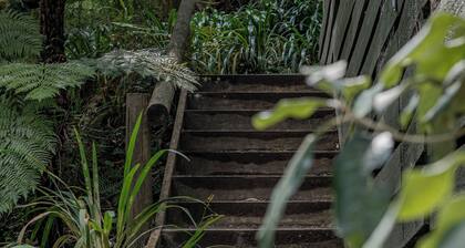Fern House - bush by beach @ wye river