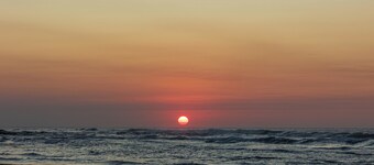 Fern House - bush by beach @ wye river