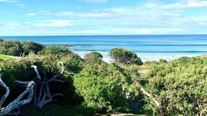 A coastal landscape with dense greenery and a view of the ocean. - Surf Shack - Beach Front (Separation Creek)