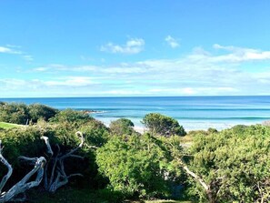 On the beach - Surf Shack - Beach Front (Separation Creek)