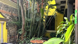 A courtyard with tiled tables and chairs, surrounded by lush tropical plants and a stone wall. - Don Valentino (Antigua Guatemala)