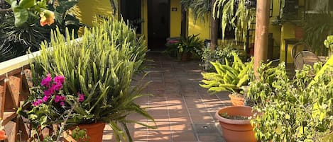 Courtyard